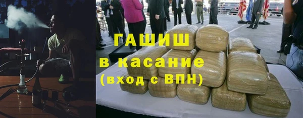 индика Алзамай