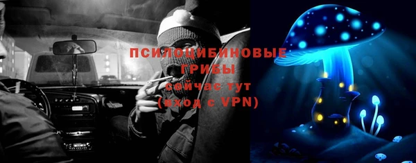 твердый Алексеевка