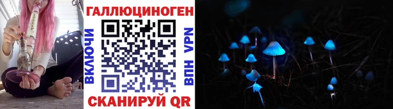 Псилоцибиновые грибы Cubensis  Купить закладки  Тырныауз 